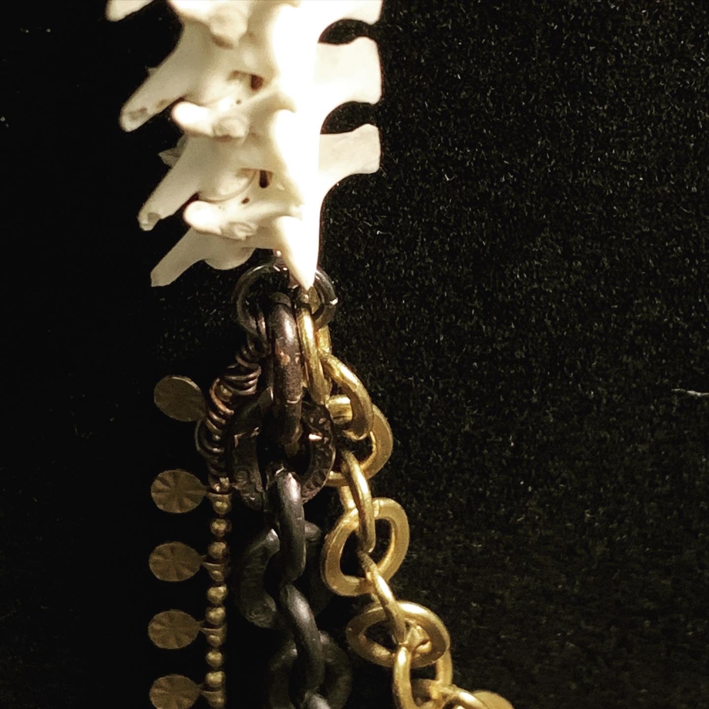 Snake Vertebrae Necklace